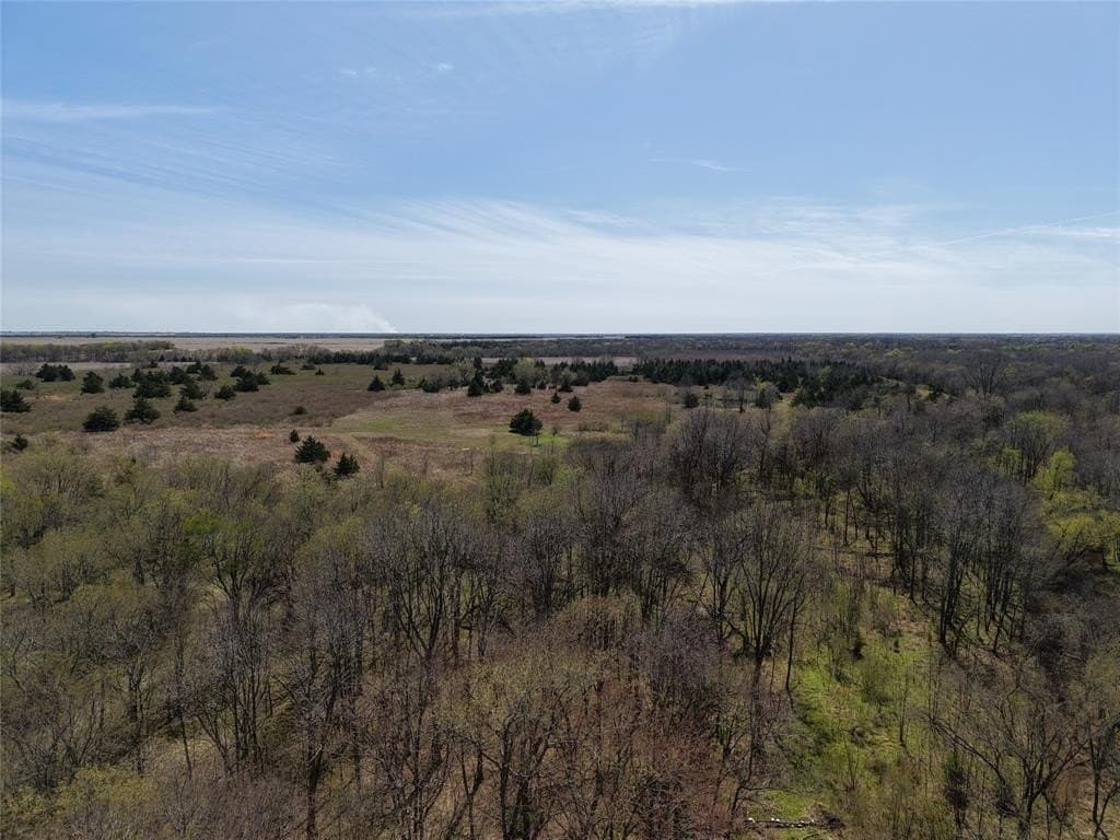 110.21 acres in Red River County - photo 7