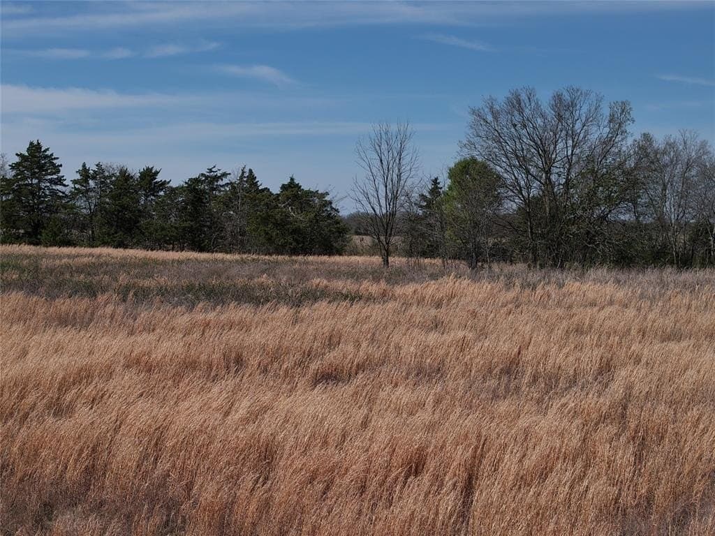 110.21 acres in Red River County - photo 14