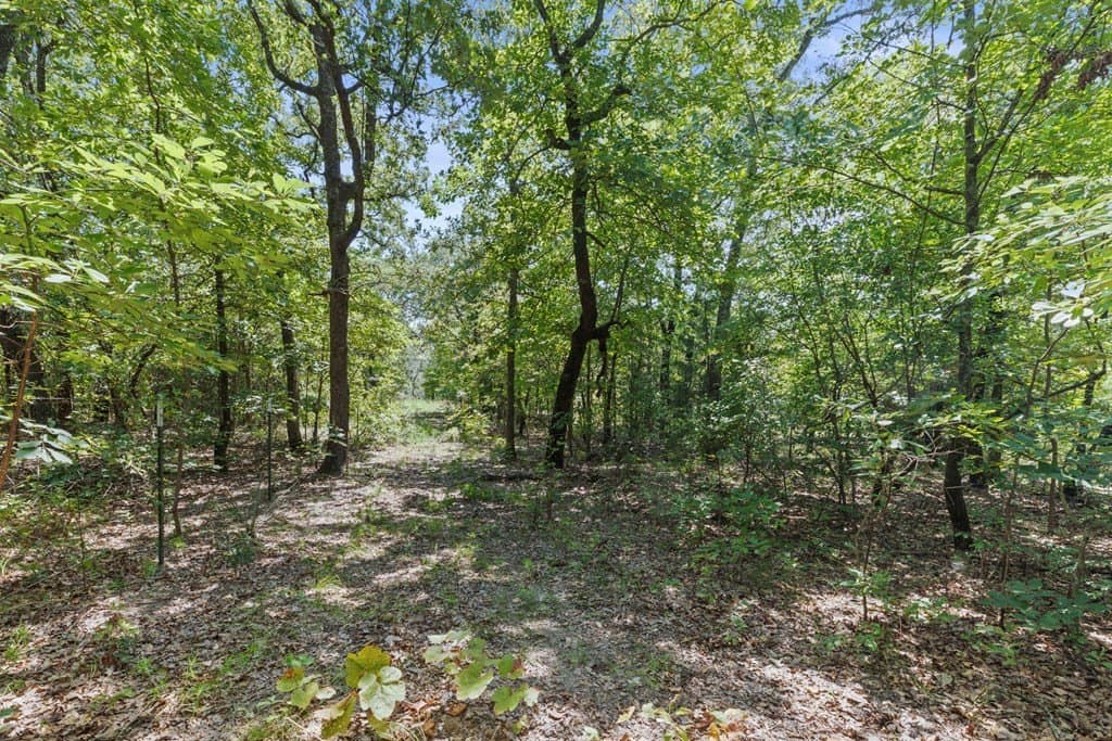 18.95 acres in Henderson County - photo 38