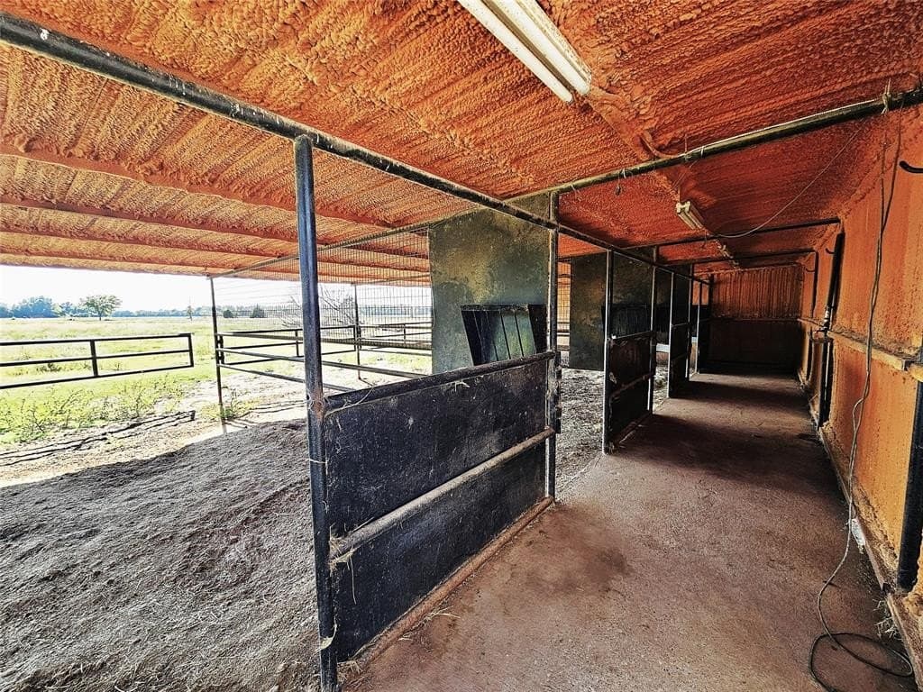 58.84 acres in Limestone County - photo 8
