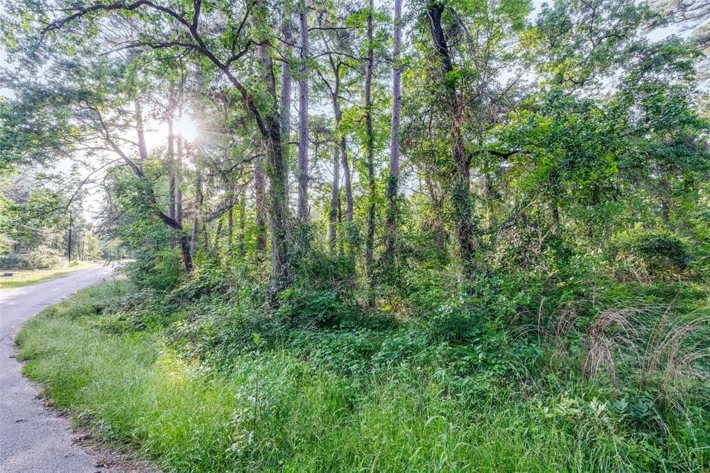 0.17 acres in Henderson County - photo 4