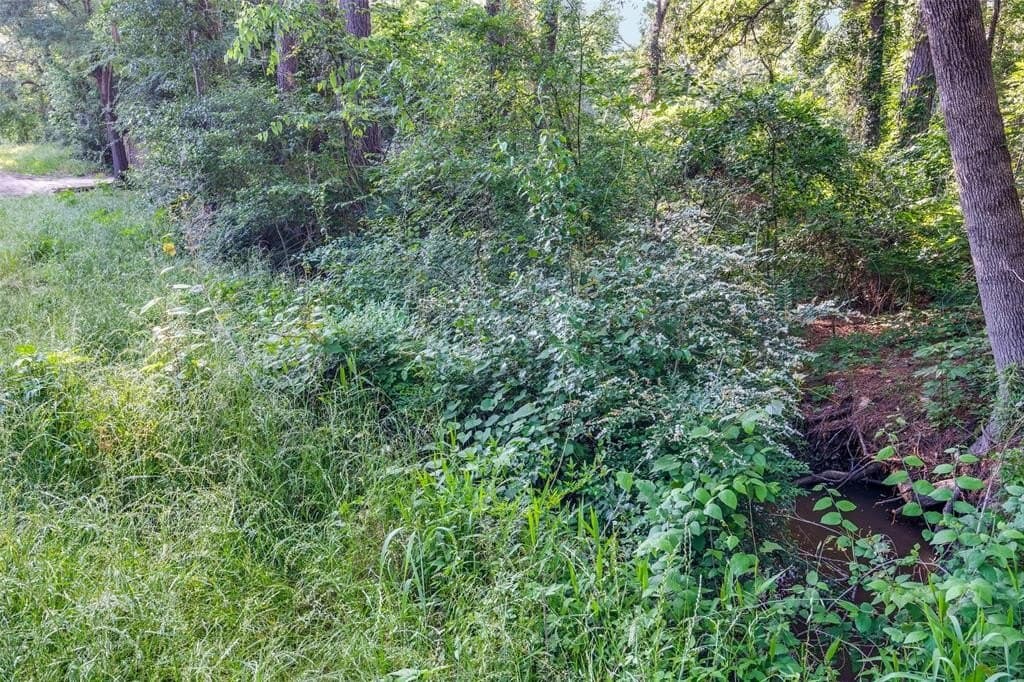 0.17 acres in Henderson County - photo 2