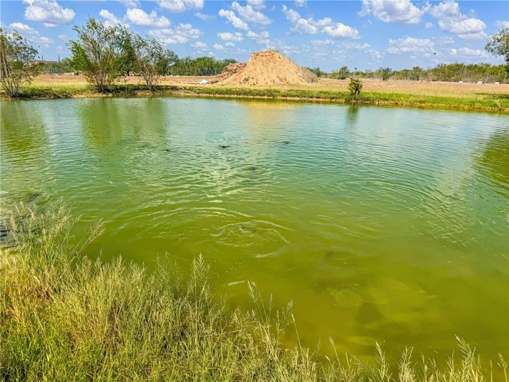 5.14 acres in Jim Wells County - photo 14