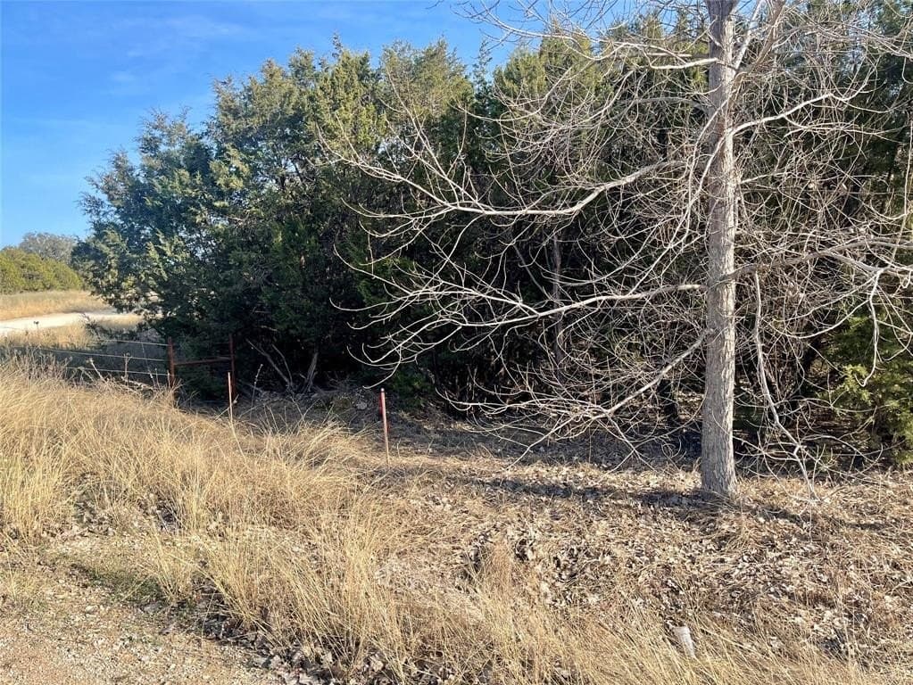 2.24 acres in Palo Pinto County - photo 10