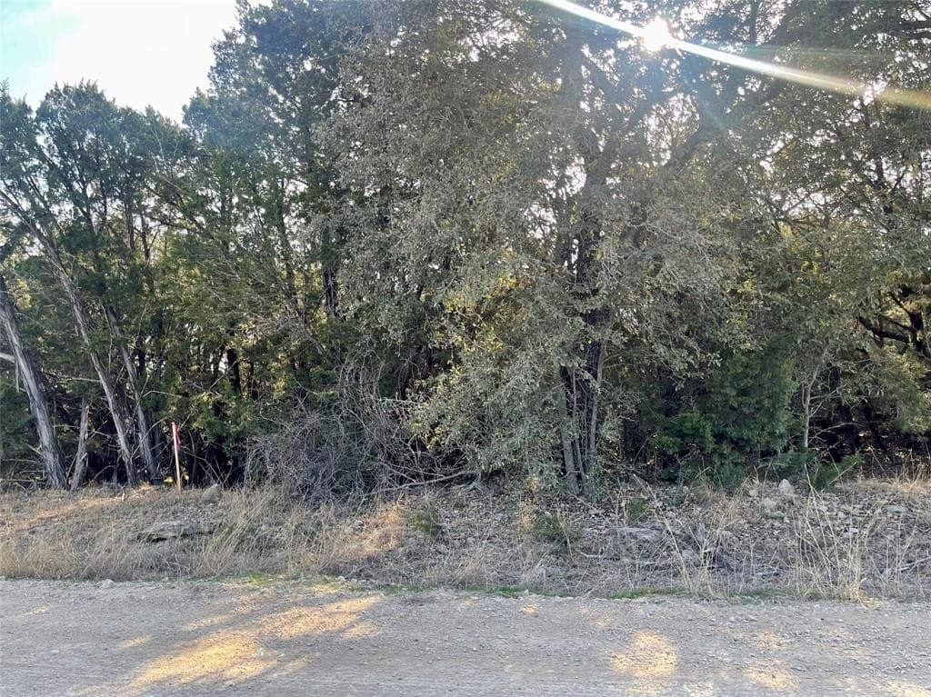 2.24 acres in Palo Pinto County - photo 4