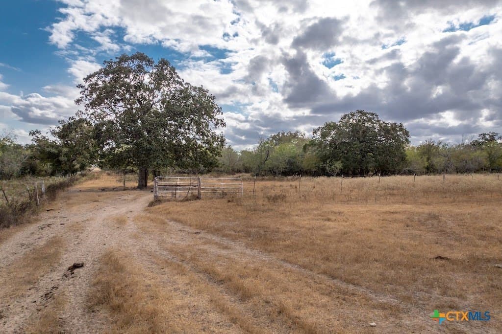 238.5 acres in Gonzales County - photo 16