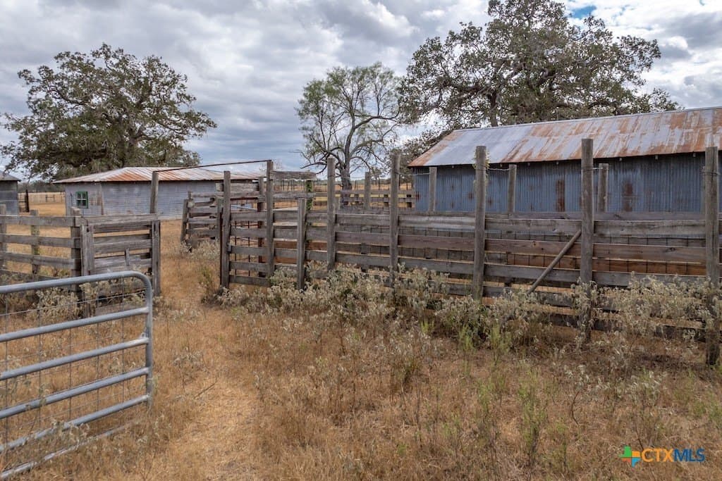 238.5 acres in Gonzales County - photo 4