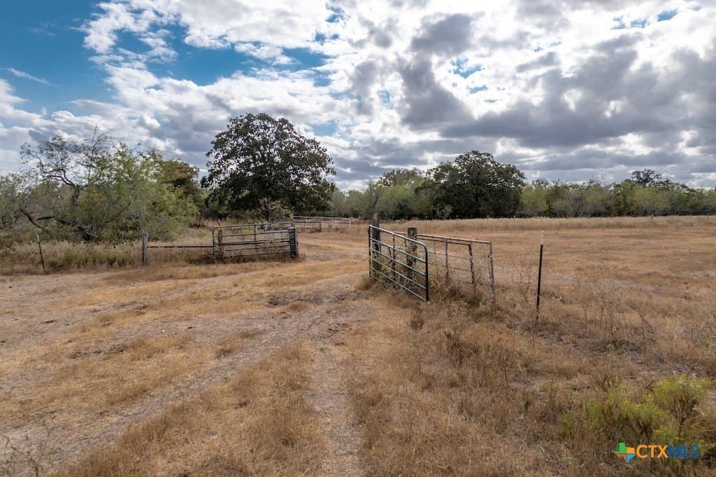 238.5 acres in Gonzales County - photo 10