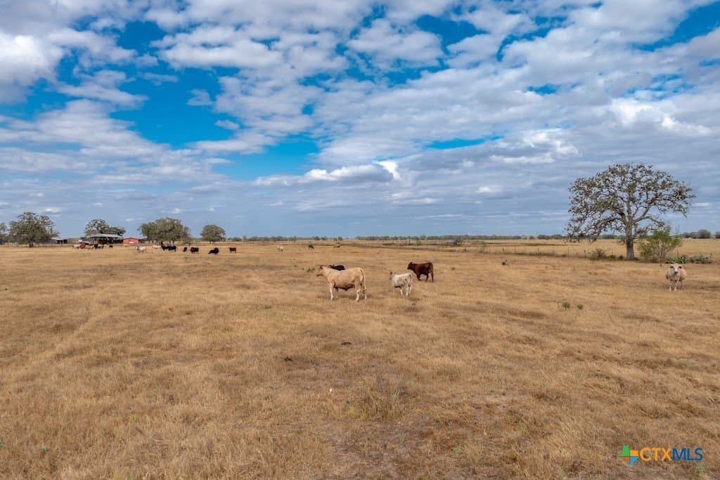 238.5 acres in Gonzales County - photo 11
