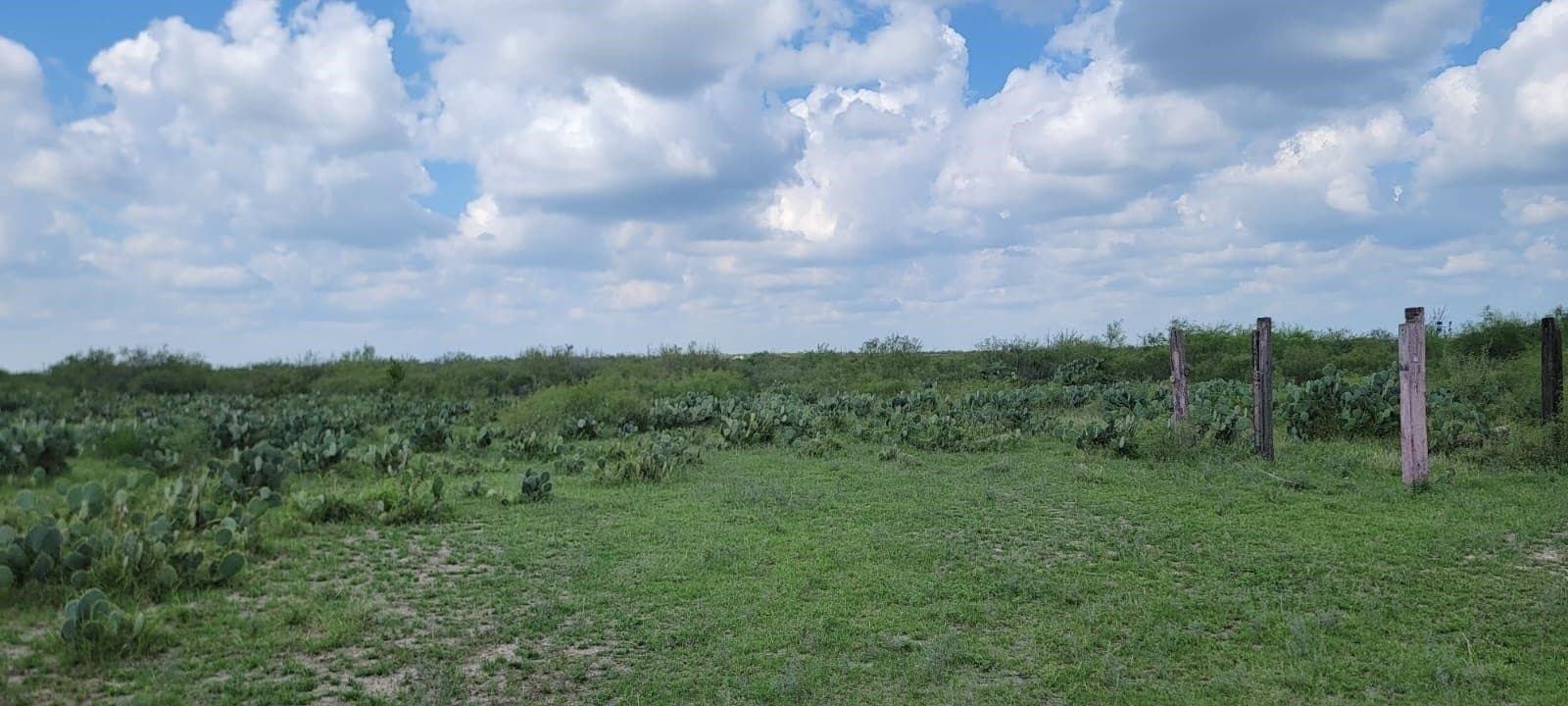 4.12 acres in Webb County - photo 4