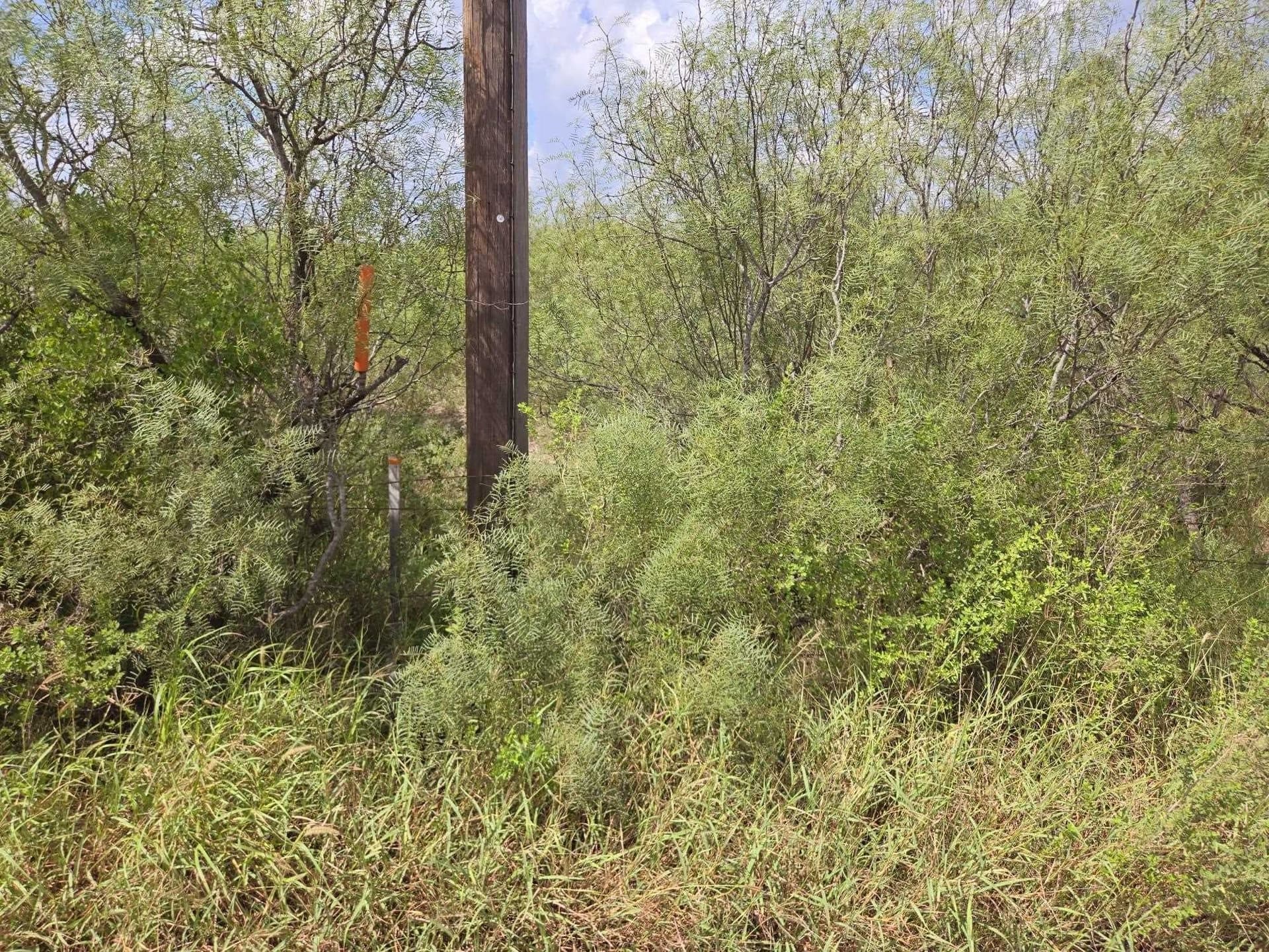 4.12 acres in Webb County - photo 9