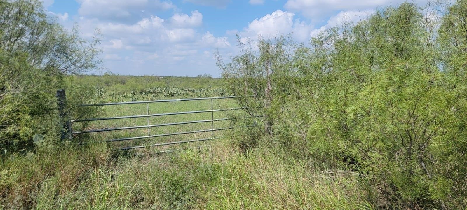 4.12 acres in Webb County - photo 2