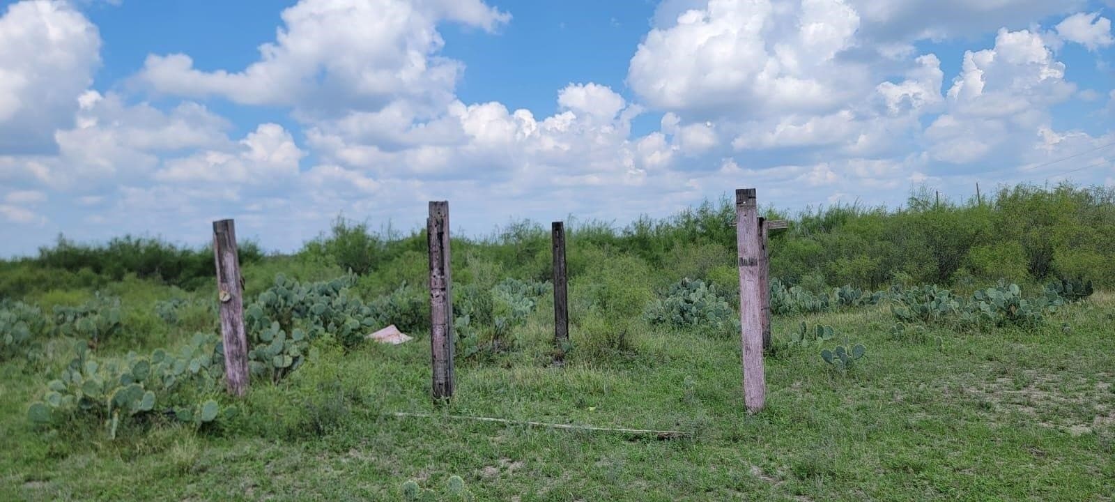 4.12 acres in Webb County - photo 5