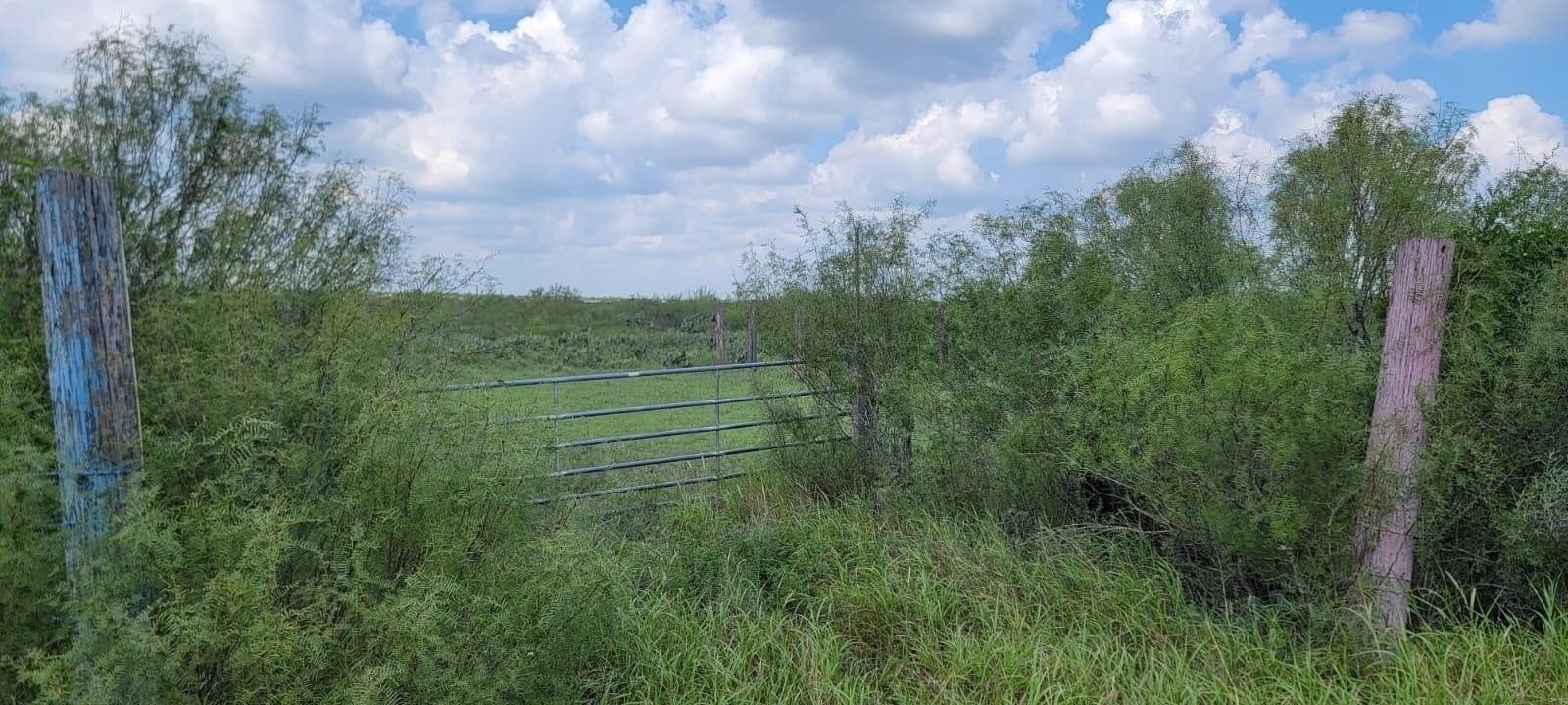 4.12 acres in Webb County - photo 3