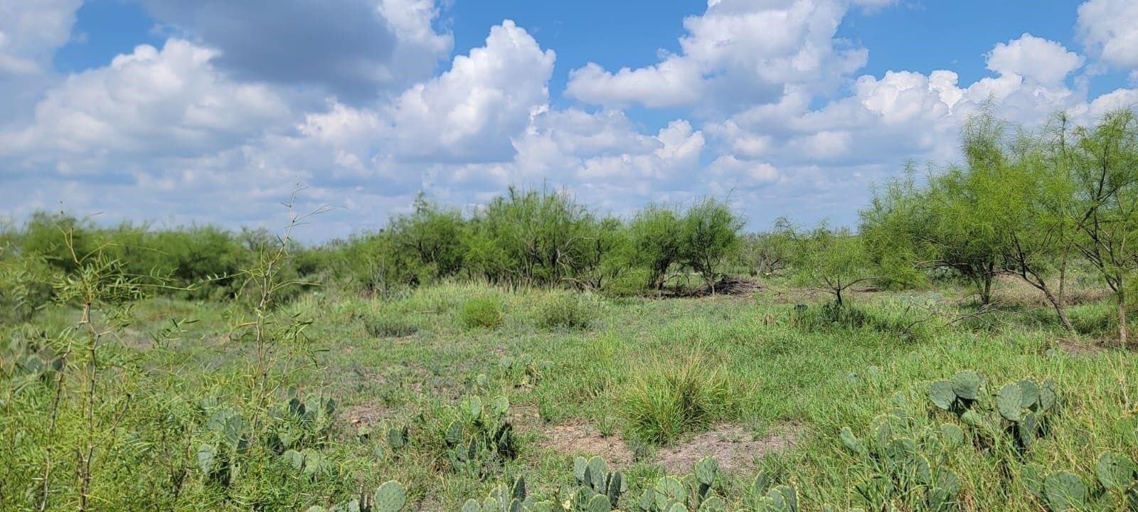 4.12 acres in Webb County - photo 7