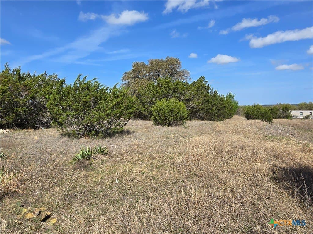 7.83 acres in Bell County - photo 4