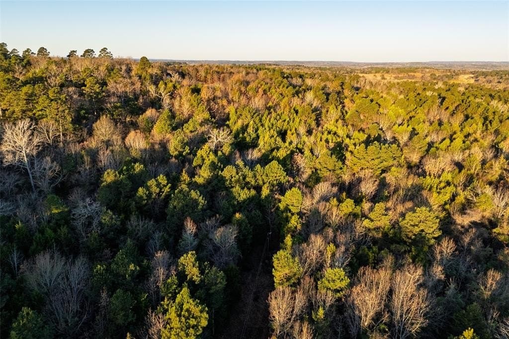 23.56 acres in Cherokee County - photo 23