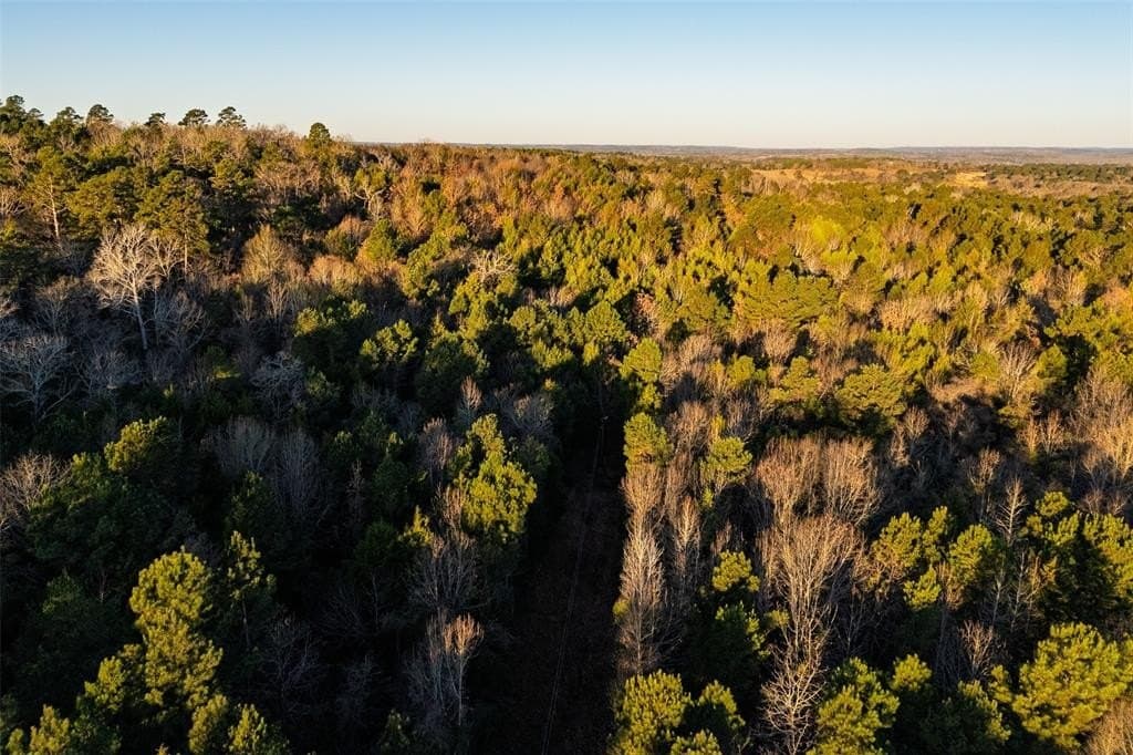 23.56 acres in Cherokee County - photo 24