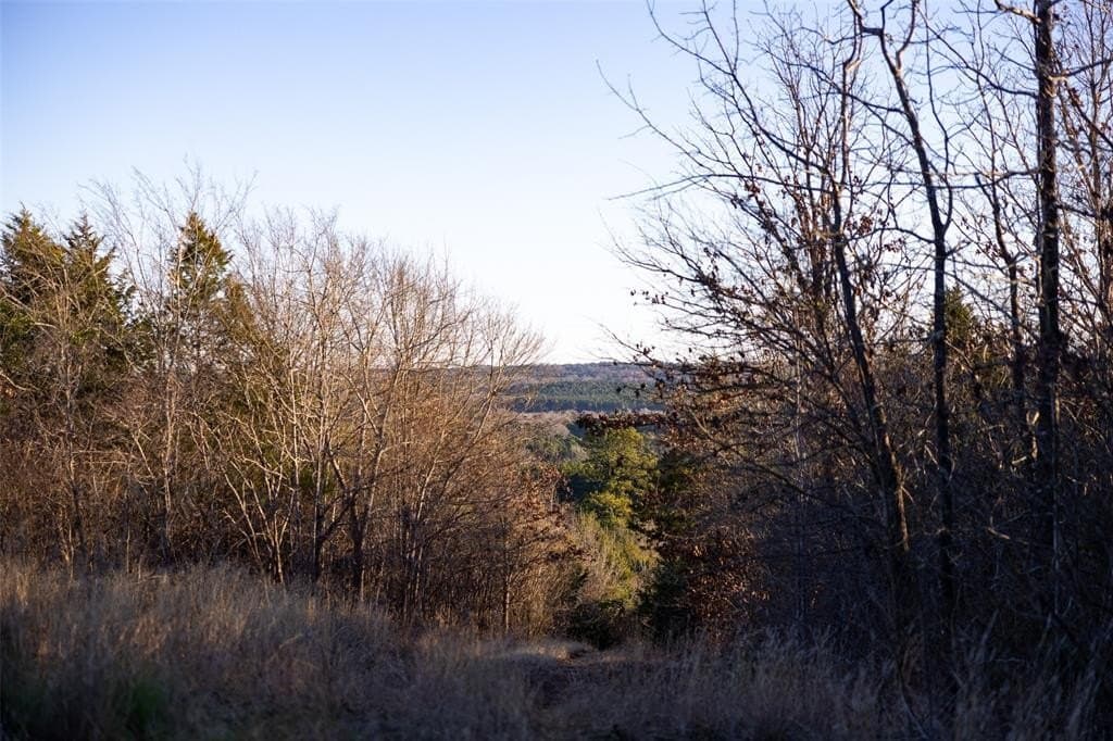 23.56 acres in Cherokee County - photo 36