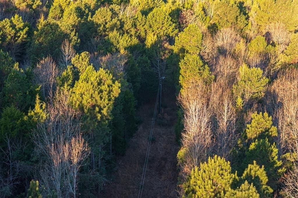 23.56 acres in Cherokee County - photo 25