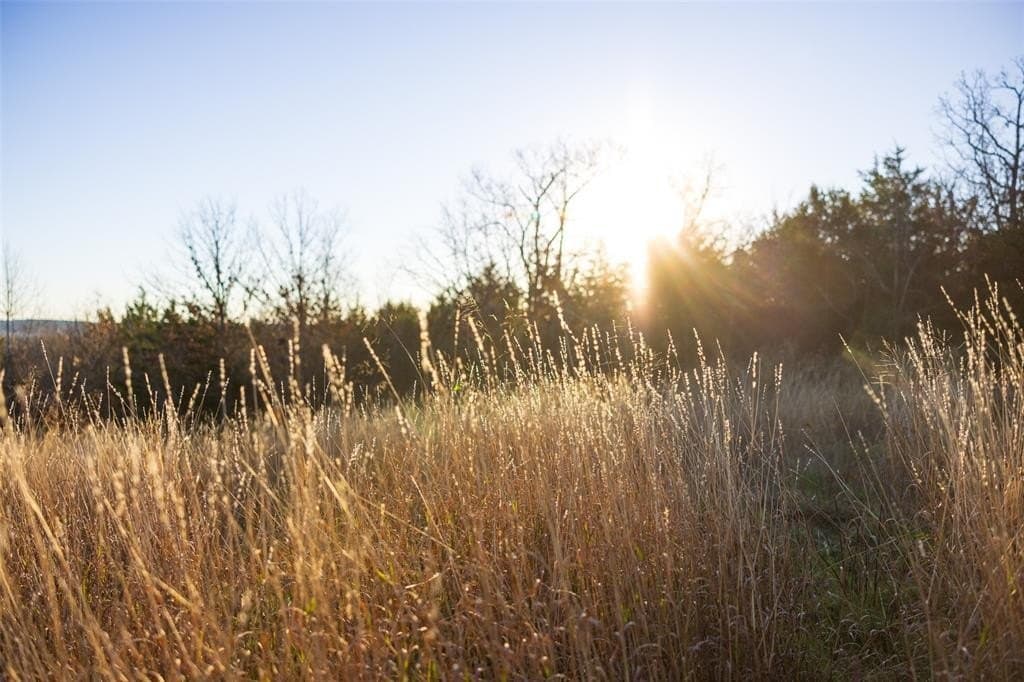 23.56 acres in Cherokee County - photo 35