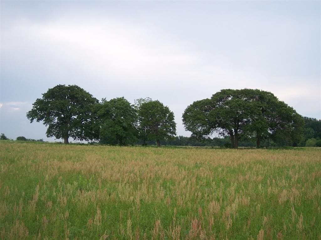 24.99 acres in Johnson County - photo 27