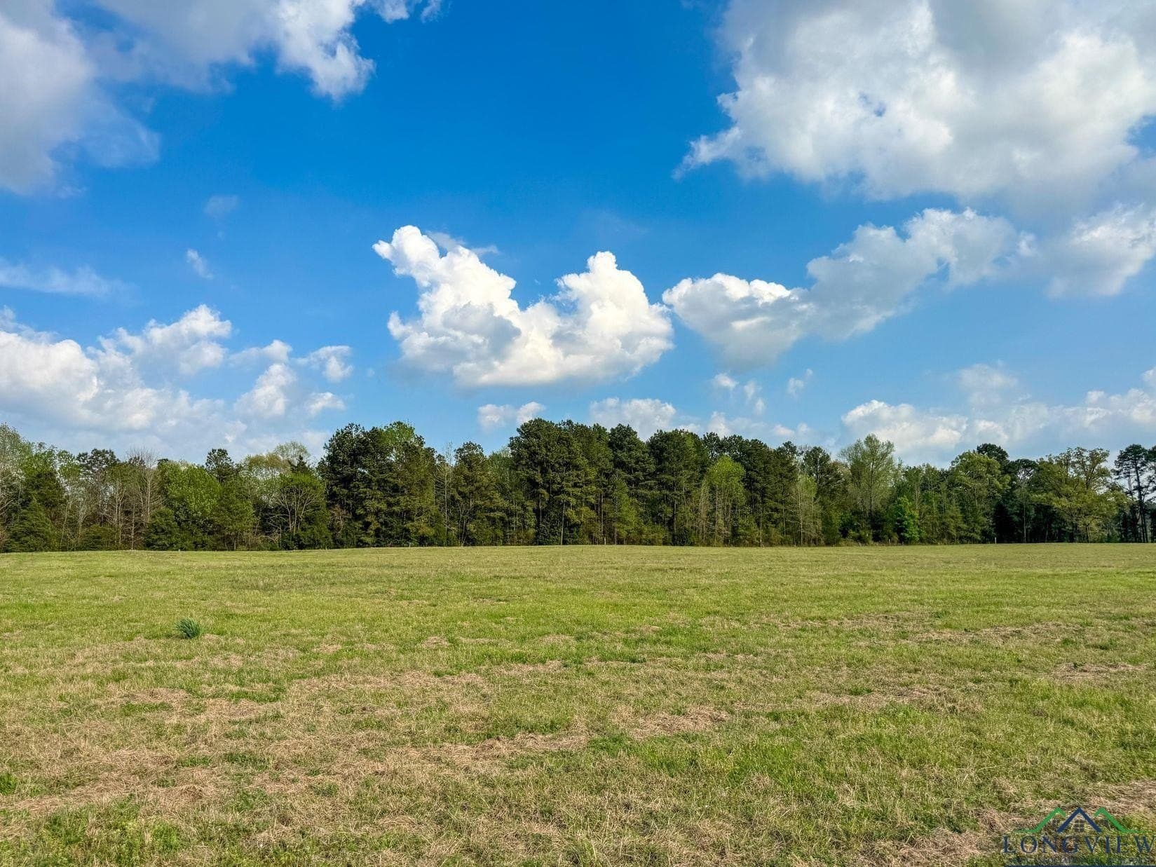 180.5 acres in Cass County - photo 37