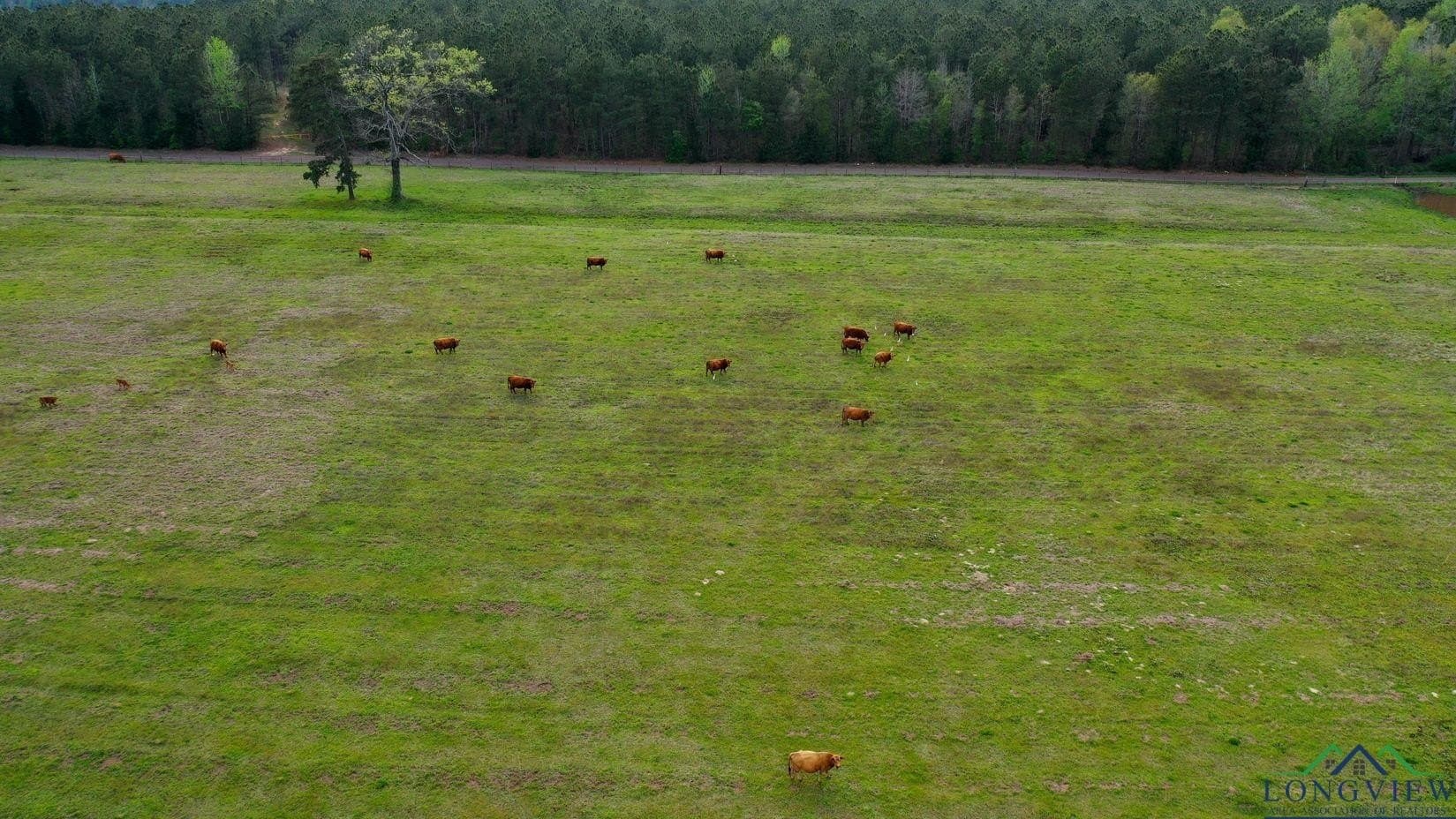 180.5 acres in Cass County - photo 27