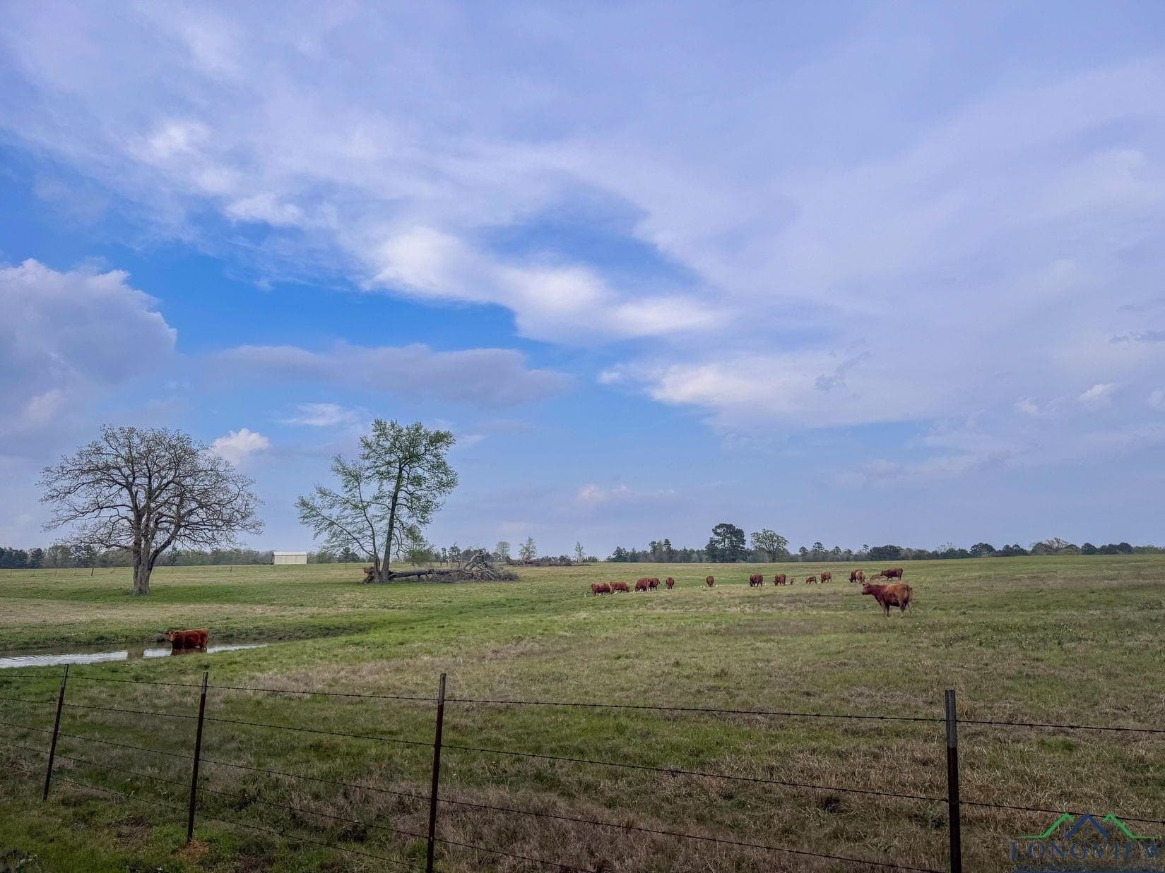 180.5 acres in Cass County - photo 31
