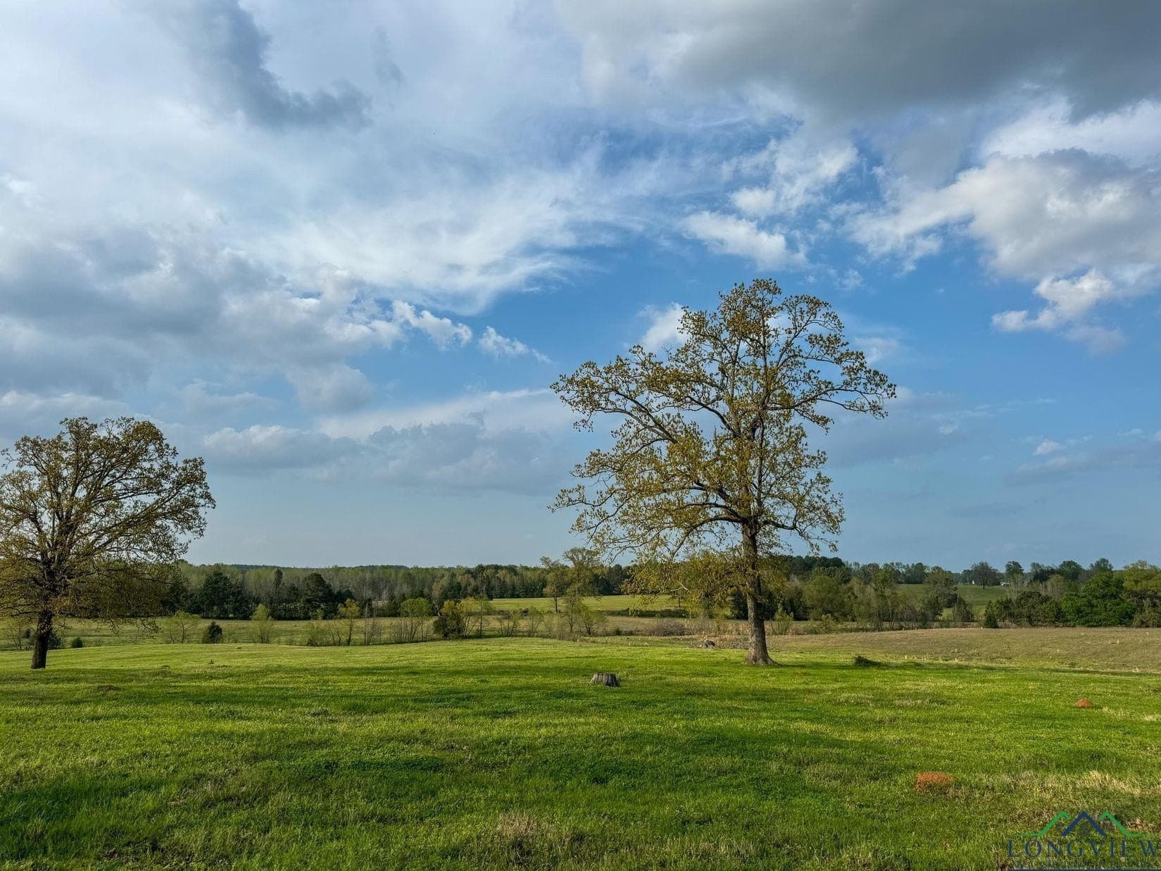 180.5 acres in Cass County - photo 33