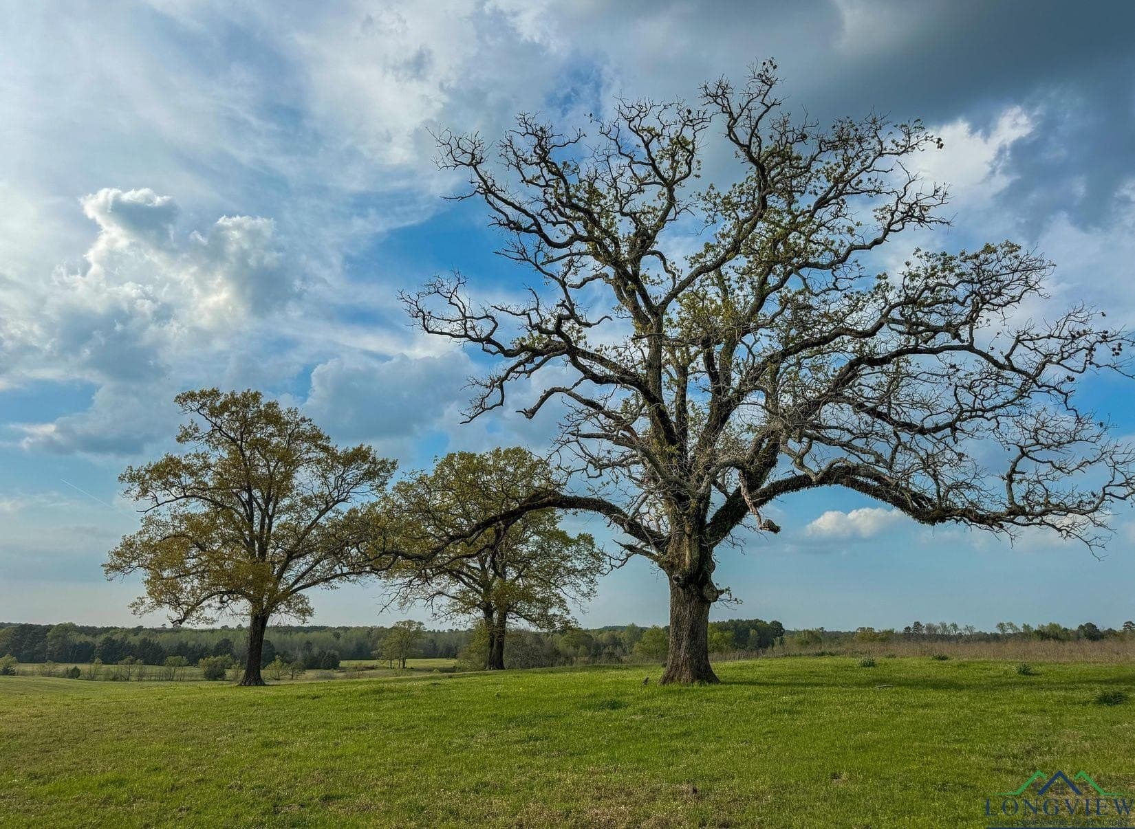 180.5 acres in Cass County - photo 34