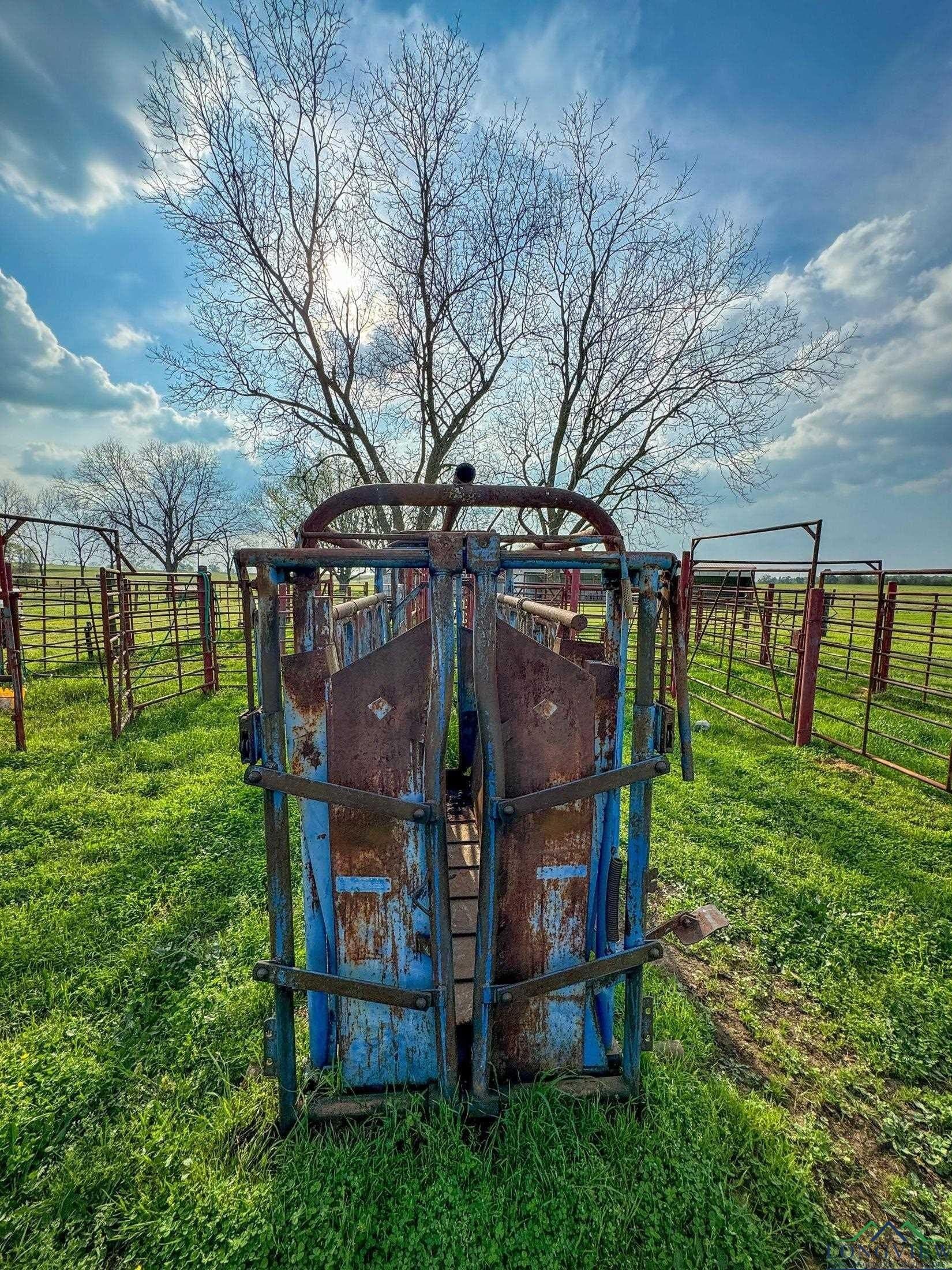 180.5 acres in Cass County - photo 20