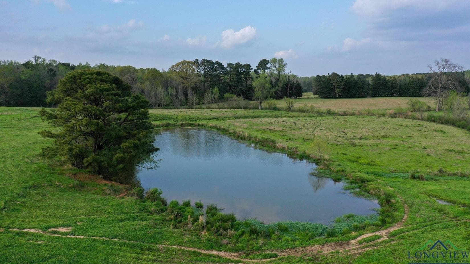 180.5 acres in Cass County - photo 23