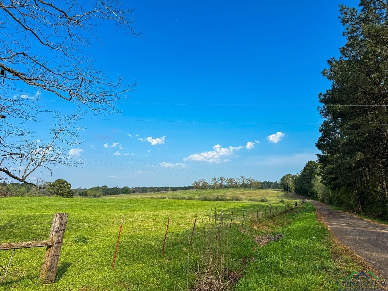 180.5 acres in Cass County - photo 50
