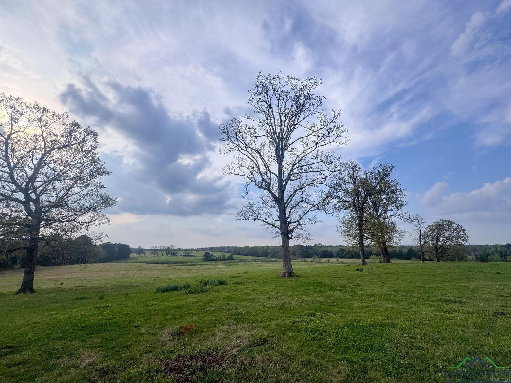 180.5 acres in Cass County - photo 46