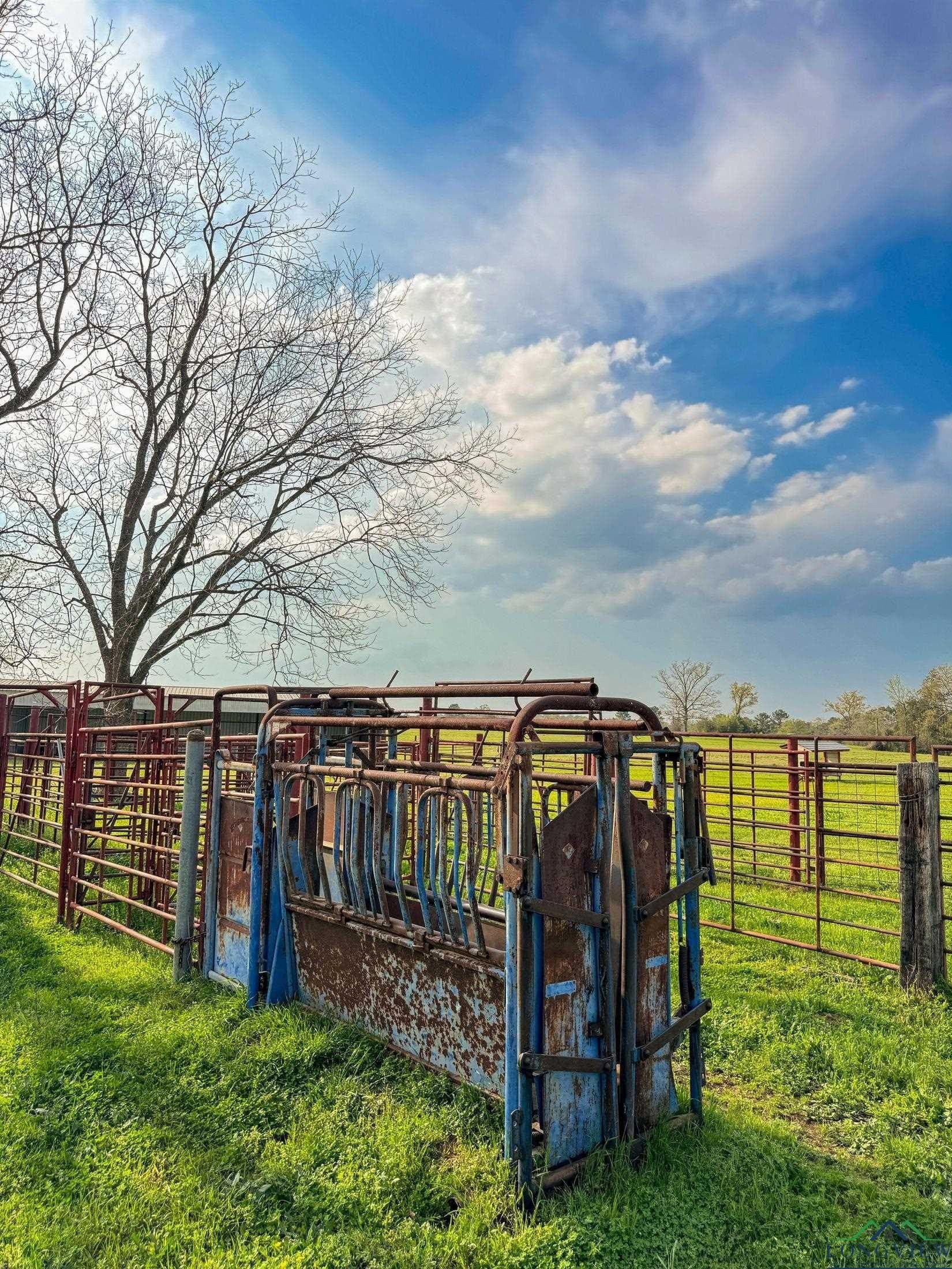 180.5 acres in Cass County - photo 21