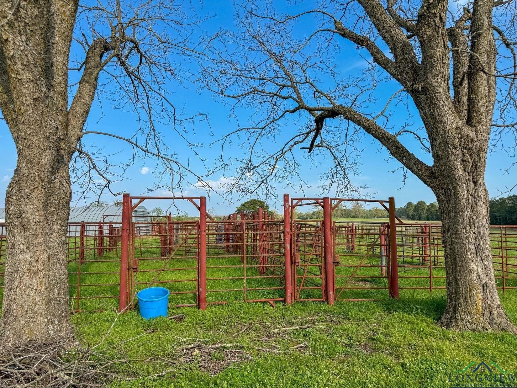180.5 acres in Cass County - photo 19