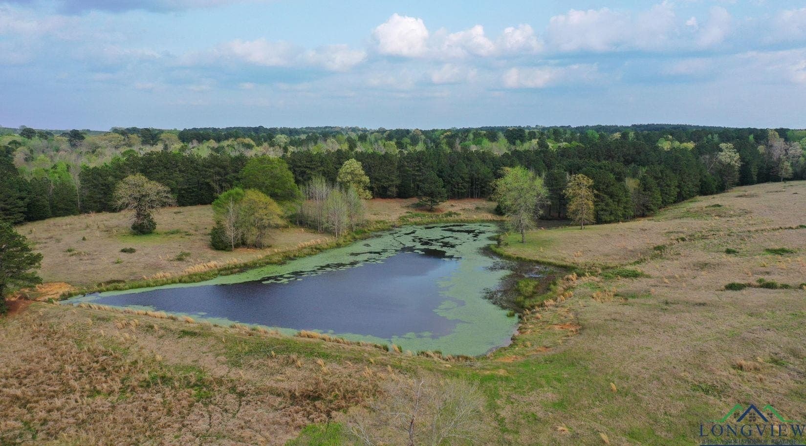 180.5 acres in Cass County - photo 2