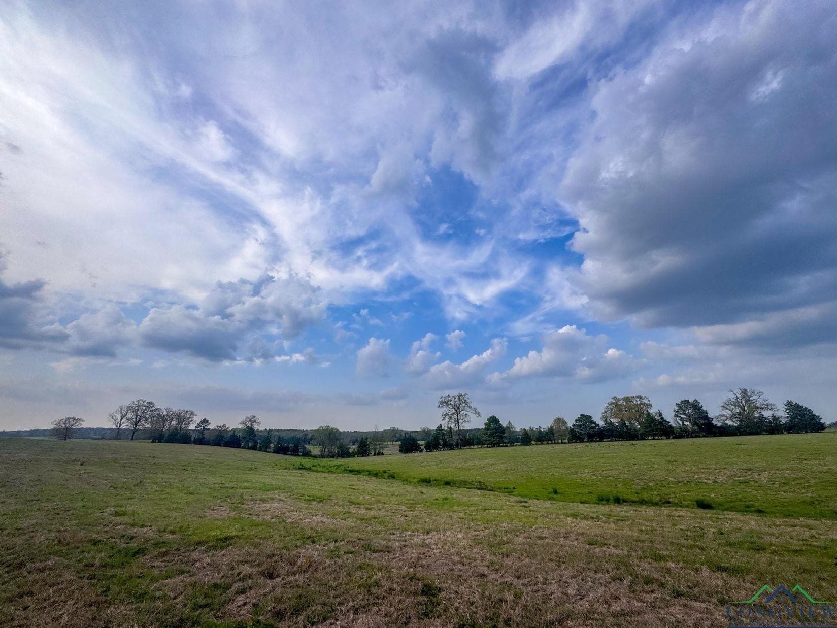 180.5 acres in Cass County - photo 45