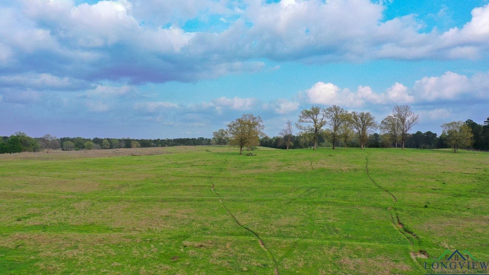 180.5 acres in Cass County - photo 41