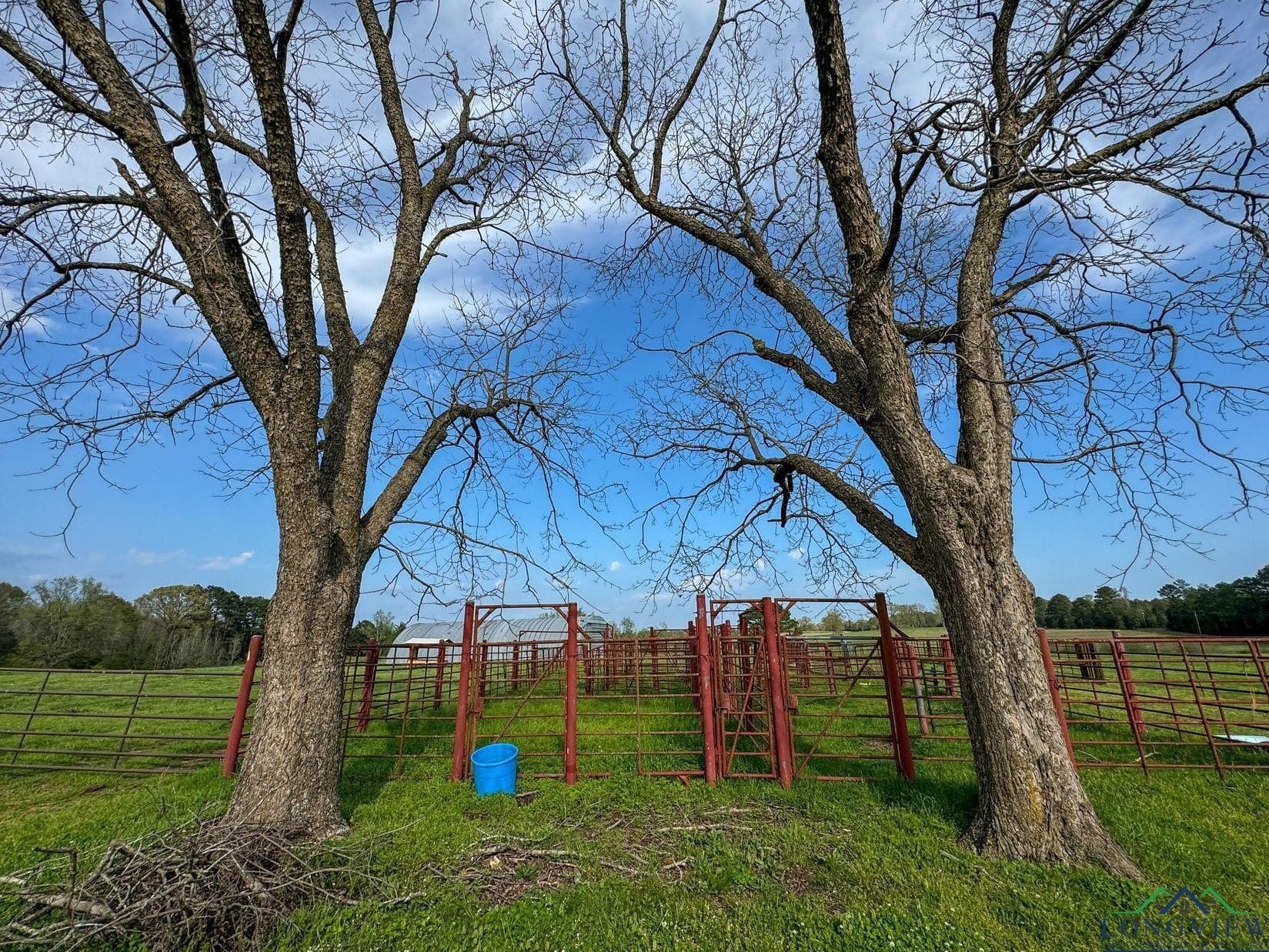 180.5 acres in Cass County - photo 18