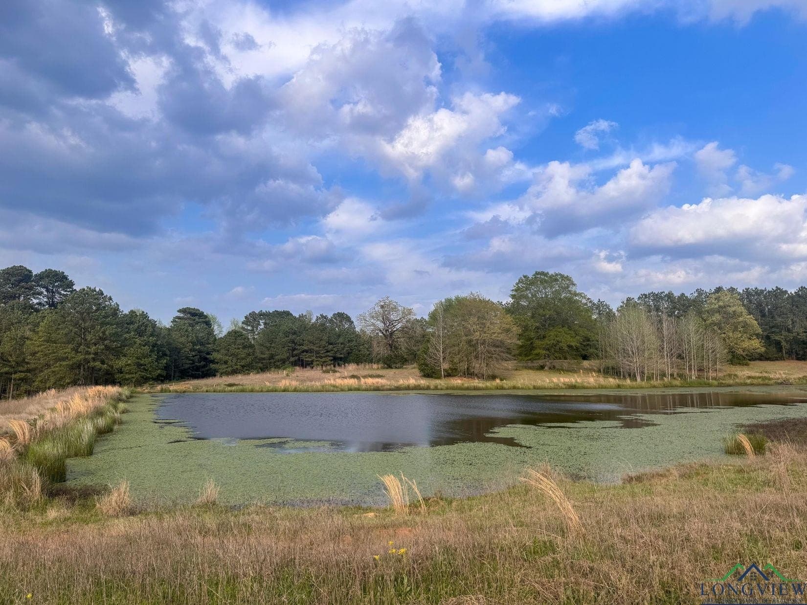 180.5 acres in Cass County - photo 3