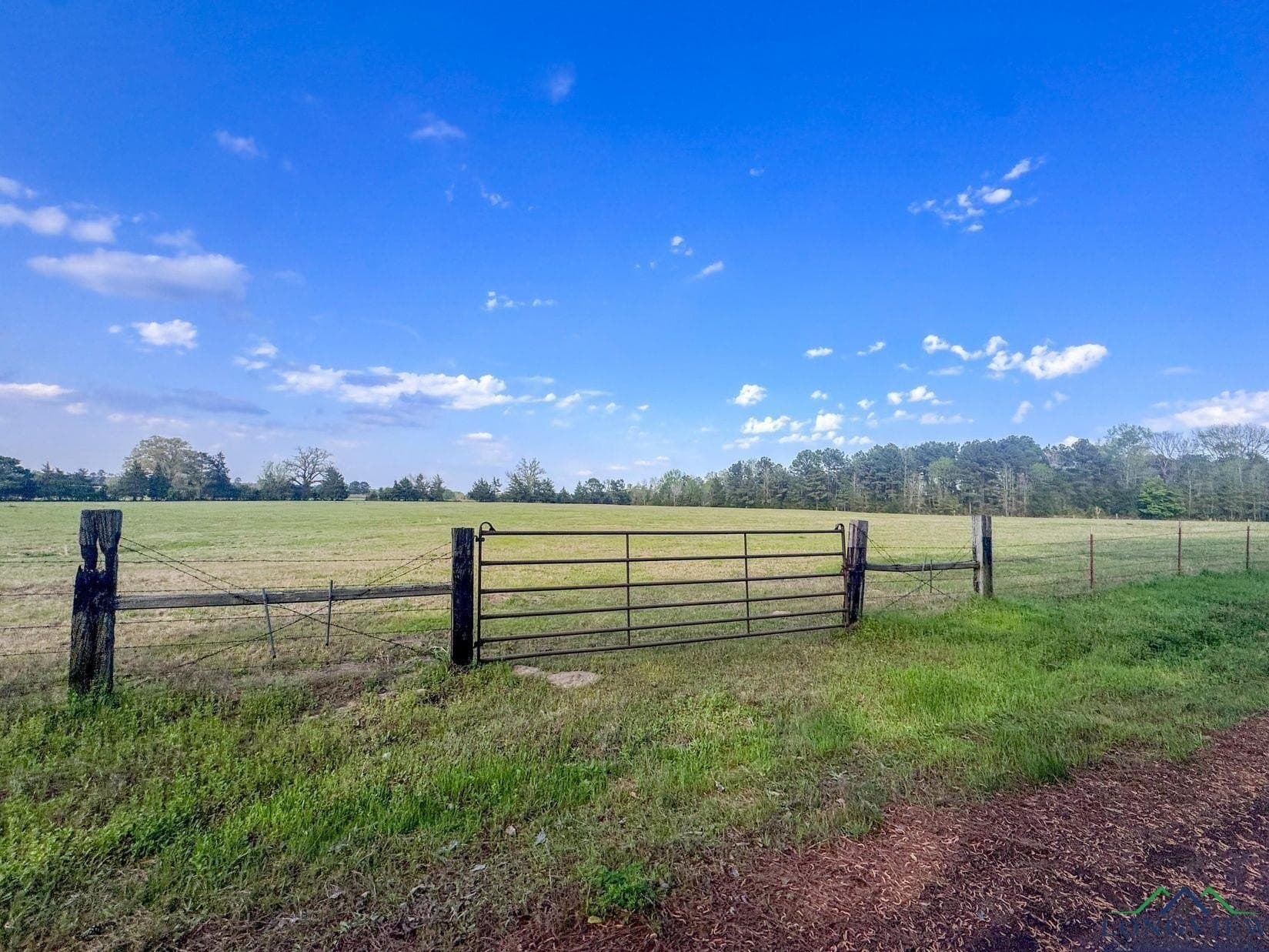 180.5 acres in Cass County - photo 38