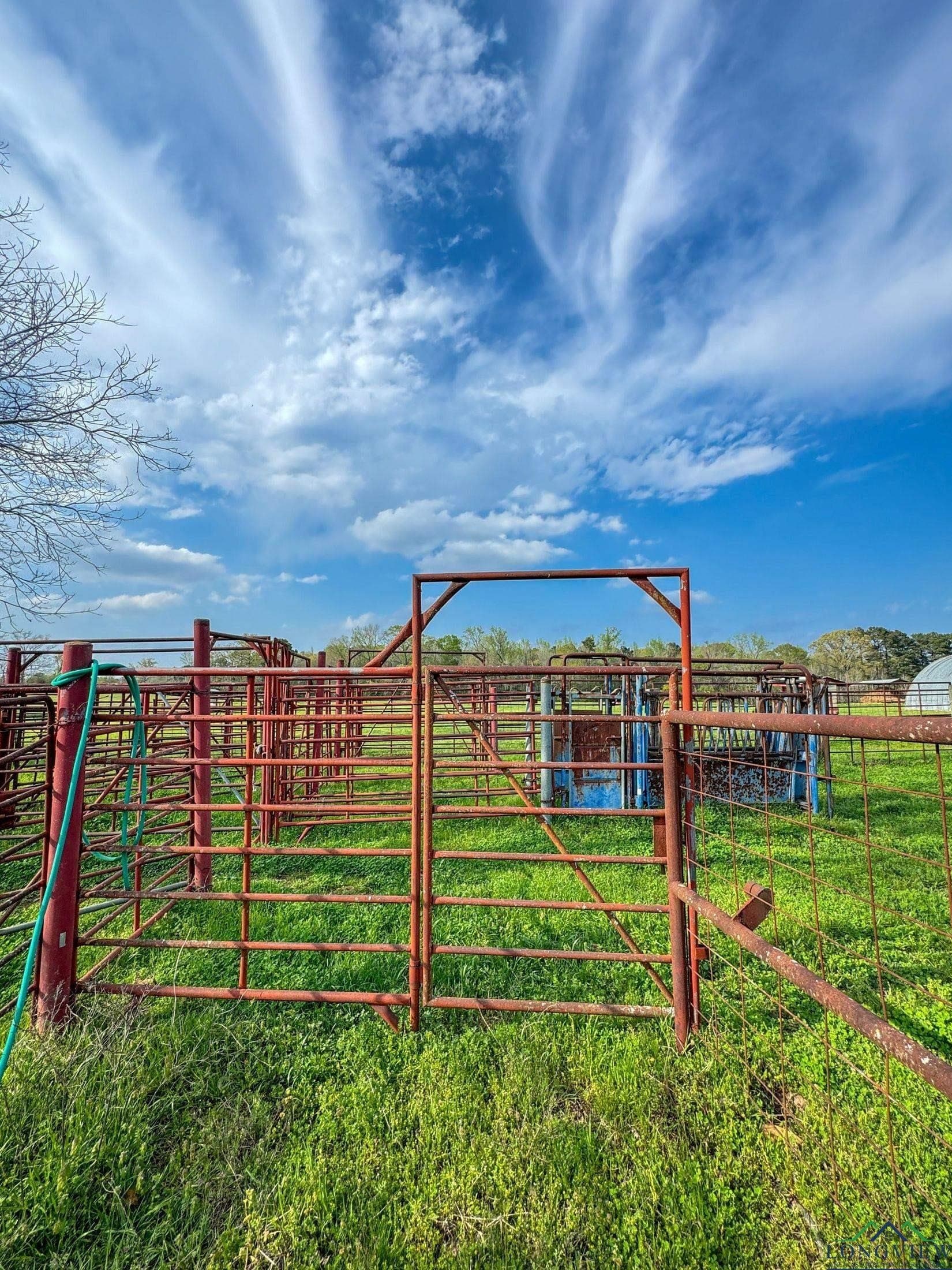 180.5 acres in Cass County - photo 16