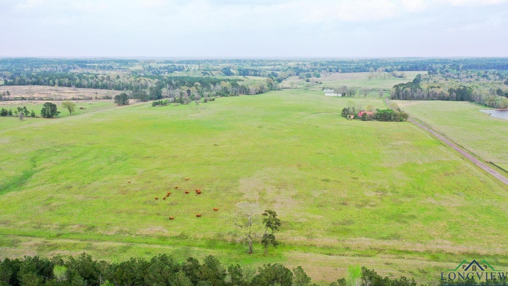 180.5 acres in Cass County - photo 43