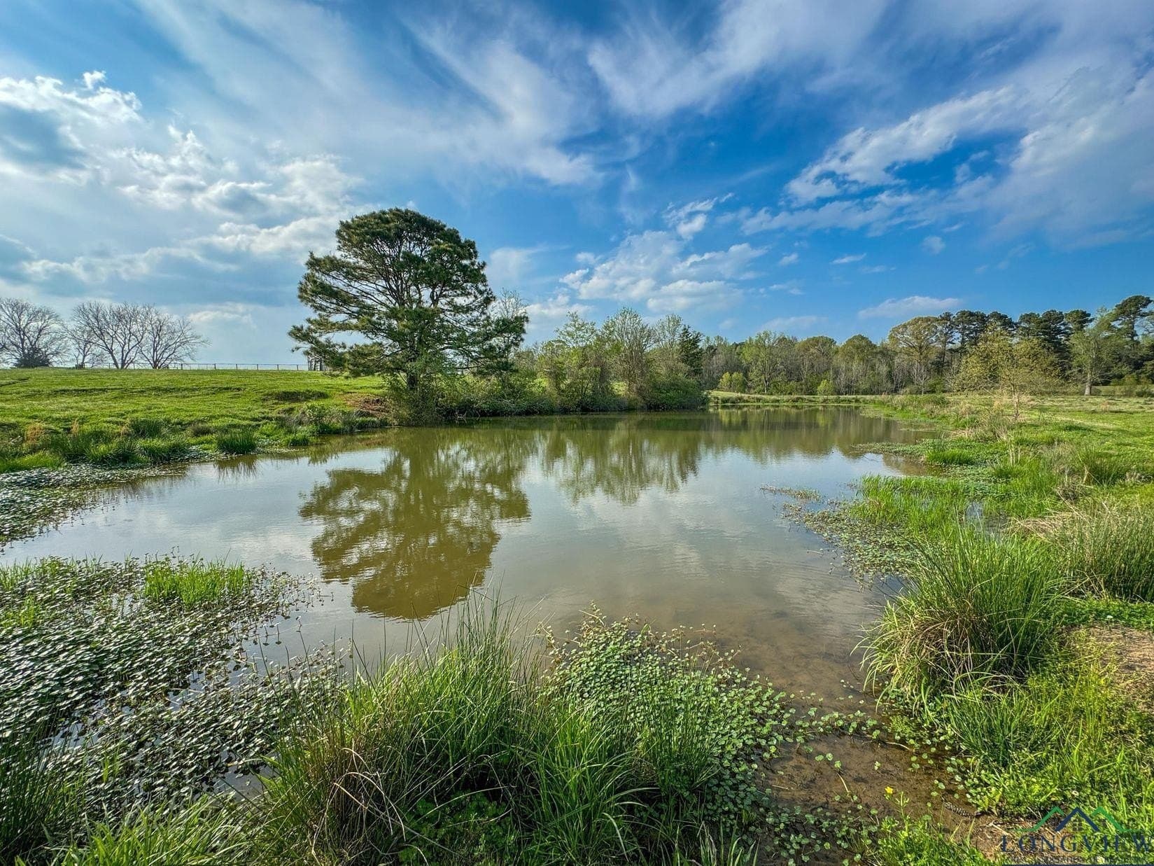 180.5 acres in Cass County - photo 30