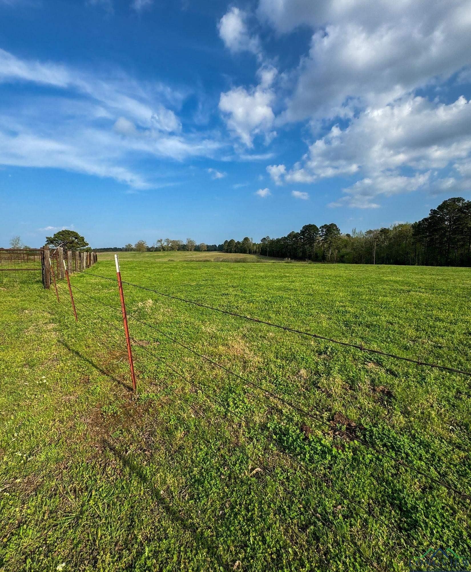 180.5 acres in Cass County - photo 49