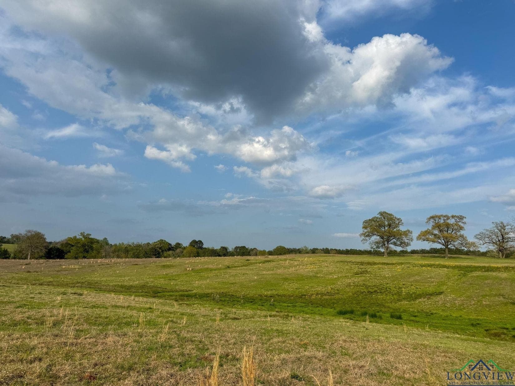 180.5 acres in Cass County - photo 36