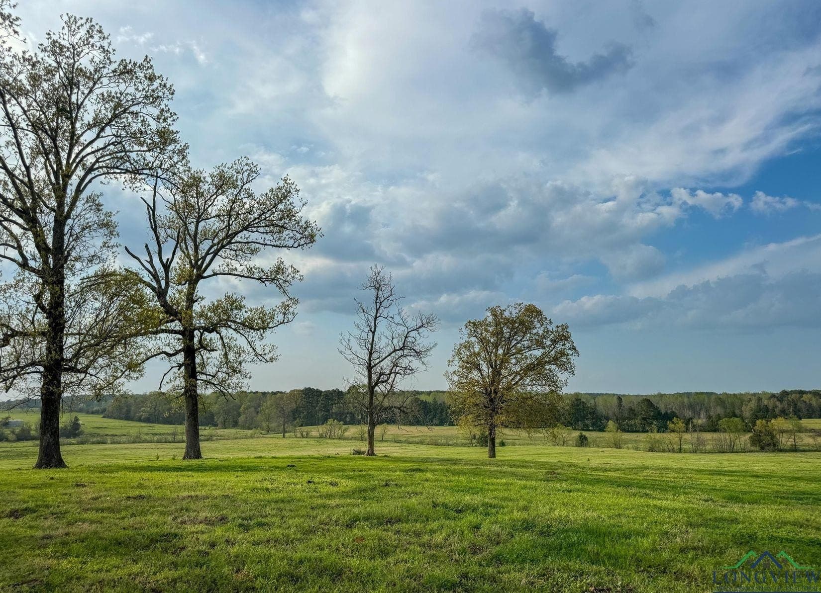 180.5 acres in Cass County - photo 35