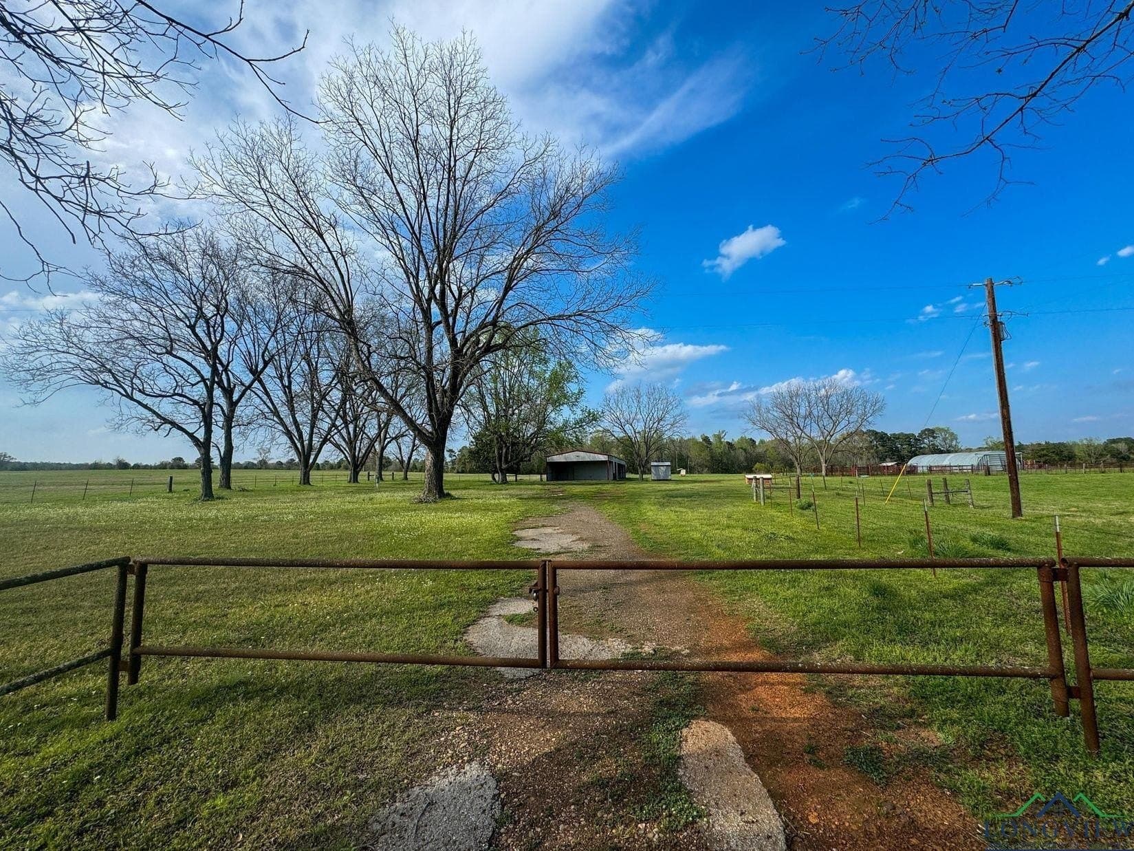 180.5 acres in Cass County - photo 4